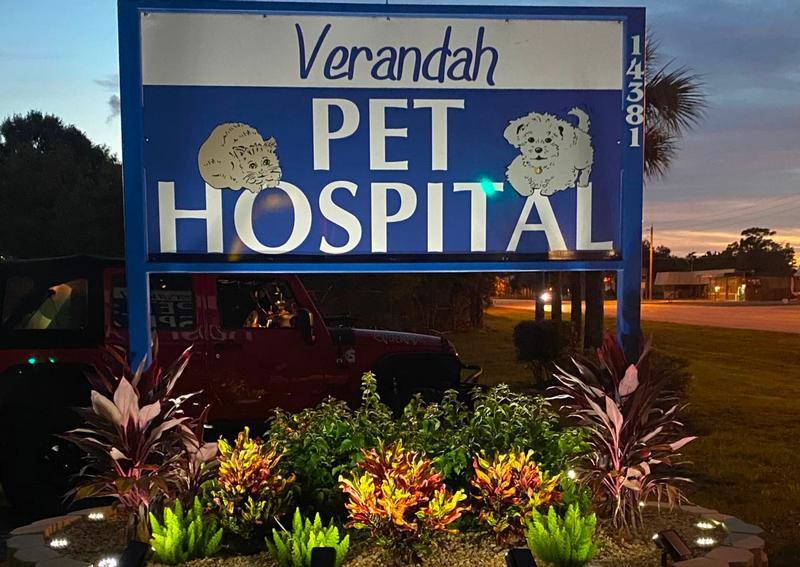 Carousel Slide 11: Verandah Pet Hospital Exterior Sign