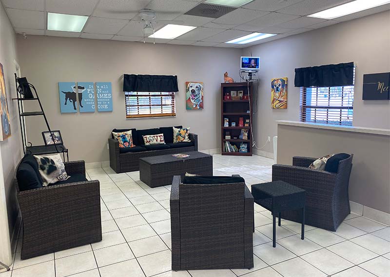 Verandah Pet Hospital Ft. Myers veterinarians